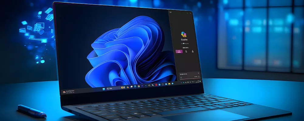 分类-免费资源 - 某错网